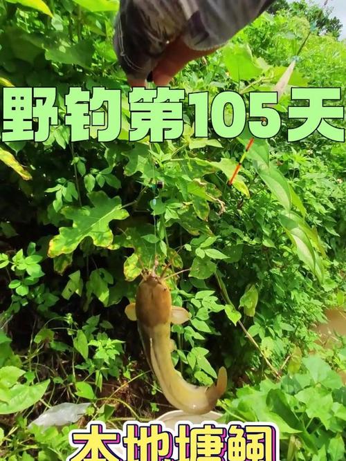 浦口釣魚_浦口區野釣_南京浦口野釣地點大全