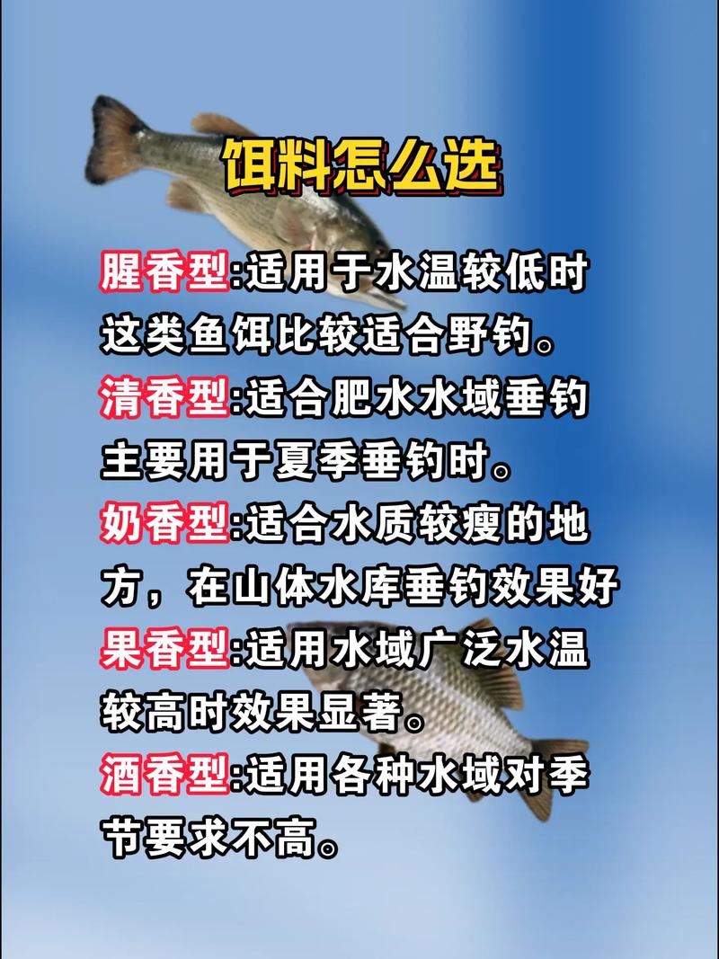 柯沐汐的釣魚之路：從初學者到技藝精湛的釣魚新星