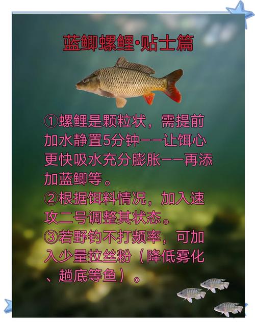 冬季與春季釣魚技巧：螺鯉九一八與藍鯽最佳配比詳解