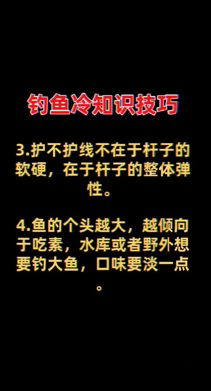 化紹新垂釣學院：從基礎到高級的全面釣魚技巧與知識指南
