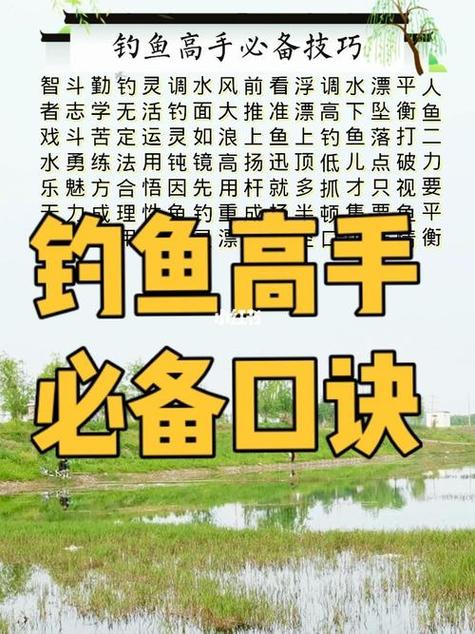化紹新垂釣學院報名和收費_化紹新垂釣學院全集_化紹新垂釣學院第一季