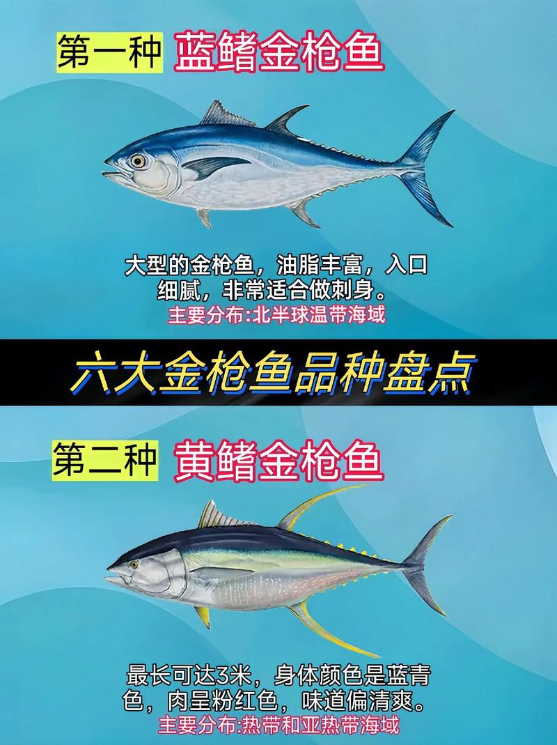 金槍魚黃鰭多少錢一斤_黃鰭金槍魚汞_黃鰭金槍魚多少錢一斤