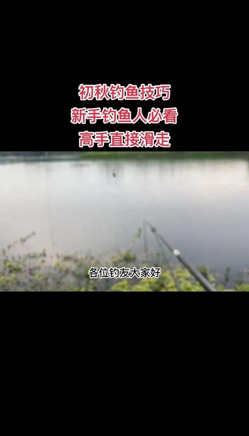 釣魚視頻2019_釣魚魚視頻大全_化紹新釣魚視頻大全