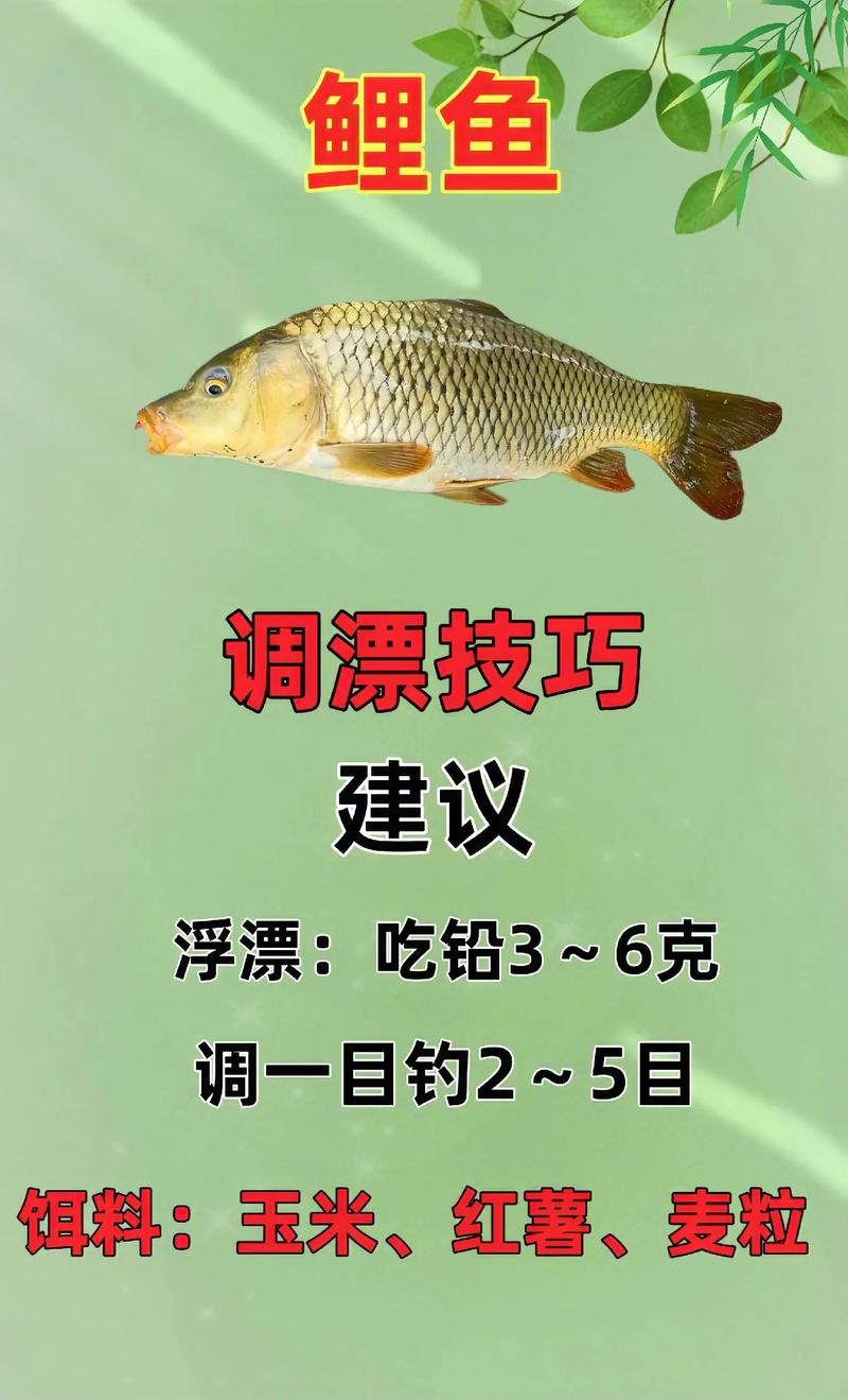 釣魚視頻2019_釣魚魚視頻大全_化紹新釣魚視頻大全