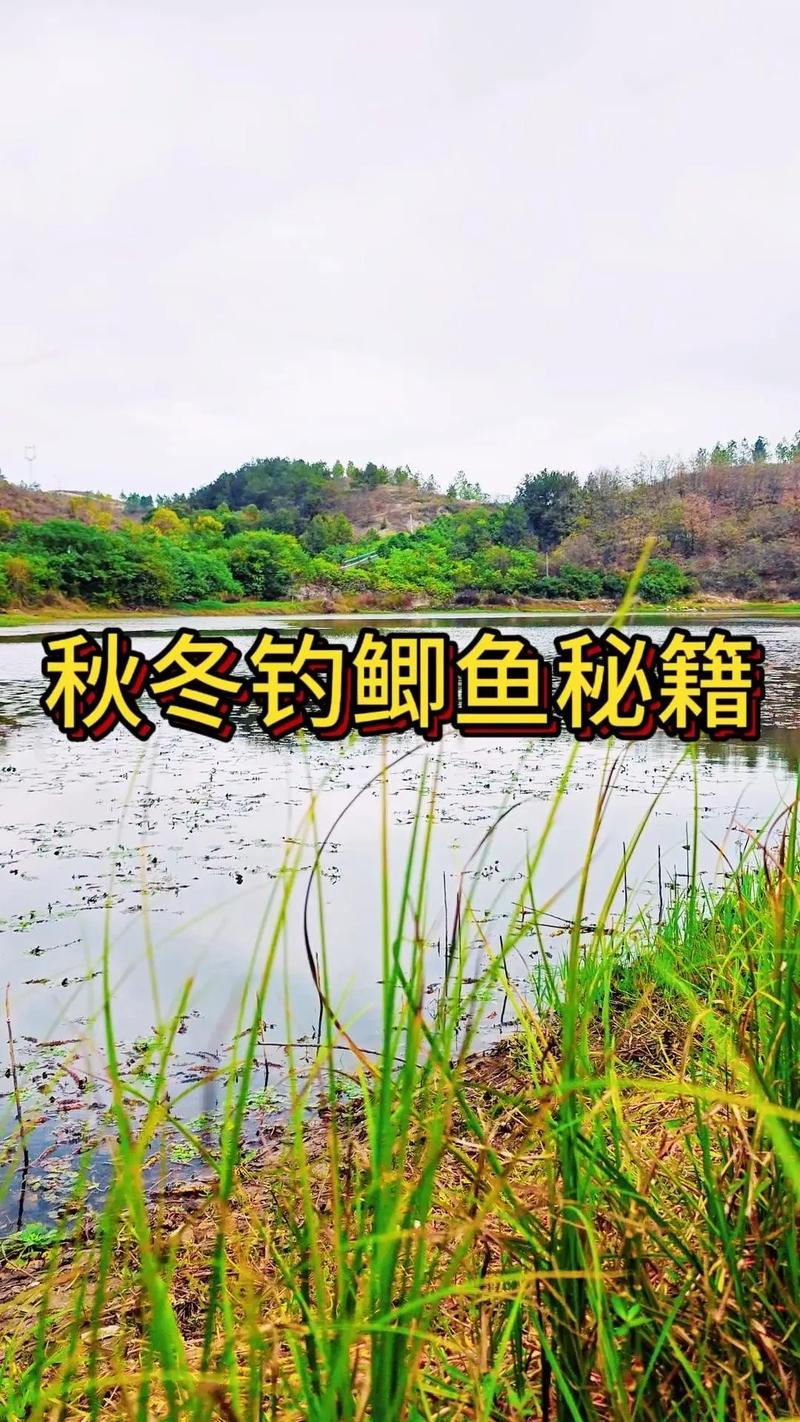 杭州半山野釣的地方推薦_杭州半山釣魚_杭州半山龍山水庫釣魚