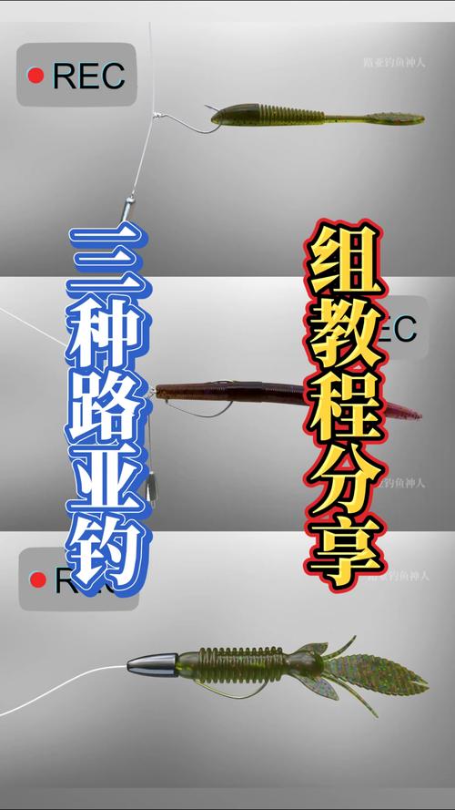 四海釣魚的視頻_釣魚頻道四海釣魚視頻_四海釣魚視頻