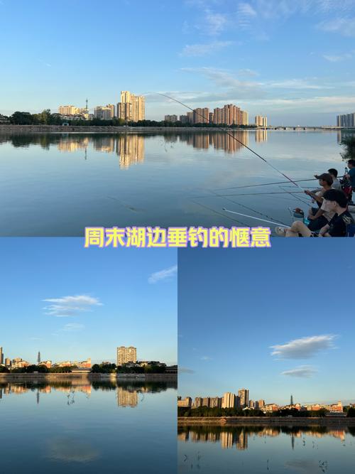 北京哪能釣魚免費_北京野釣魚免費的地方_北京免費野釣的地方