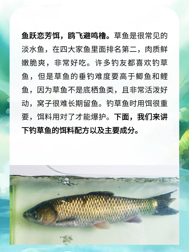釣配方餌料必看草魚嗎_釣草魚餌料配方必看_草魚餌料配方野釣