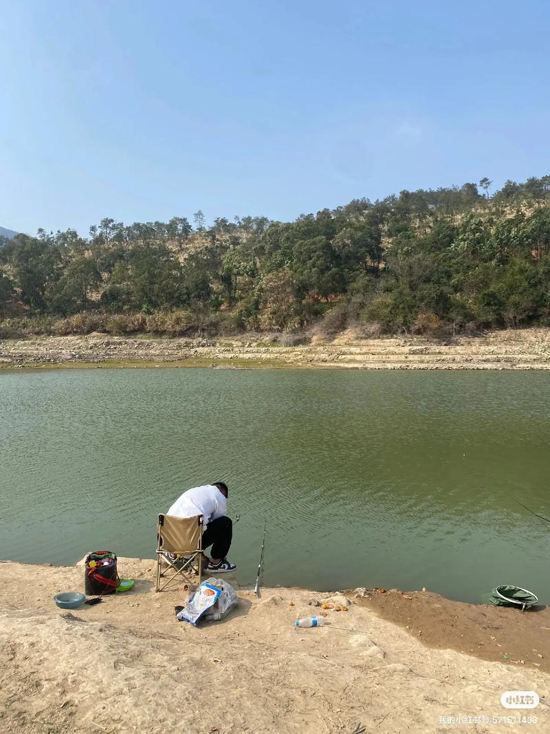Wawushan水庫釣魚：歷史上最詳細的指南
