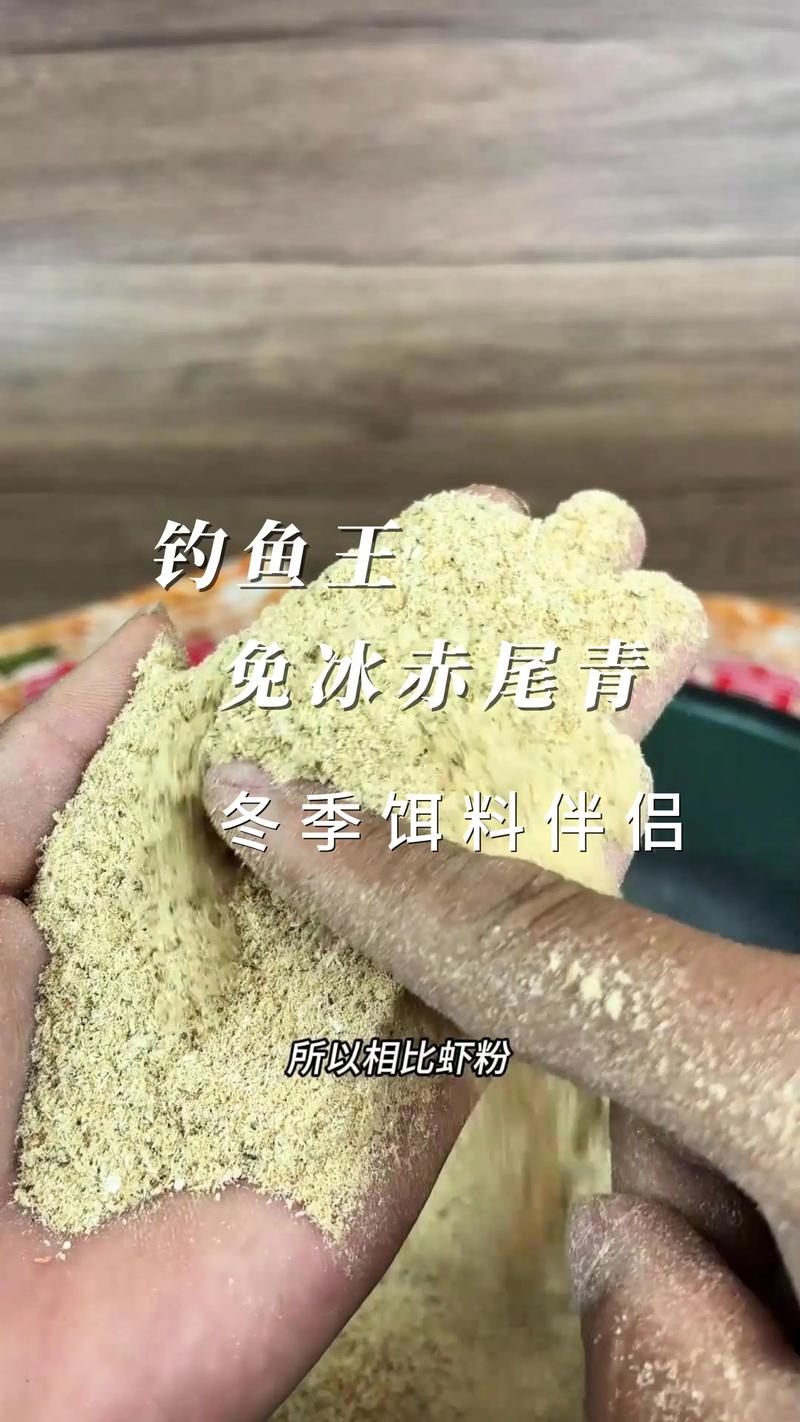 冬季釣草魚技巧：草味顆粒與蝦粉誘餌，紅蟲皮筋最佳釣餌