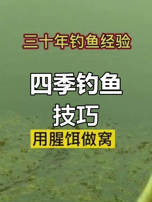 2025年四海釣魚頻道直播：精彩釣法展示與實用技巧全解析