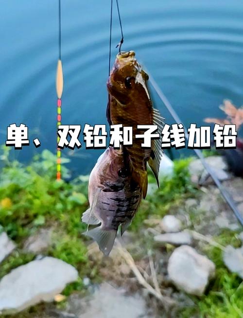 四海釣魚頻道直播2025年11月2日_四海釣魚頻道主持人有哪些_四海釣魚衛視
