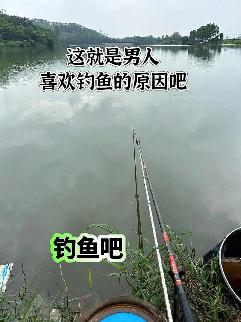 齊魯釣魚聯誼會：搭建釣魚愛好者交流橋梁，共享釣魚樂趣與技巧