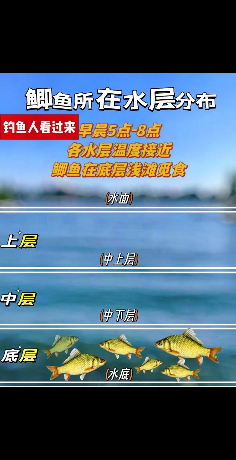 夏季水庫釣魚技巧_釣魚水庫夏季技巧視頻_釣魚水庫夏季技巧圖解