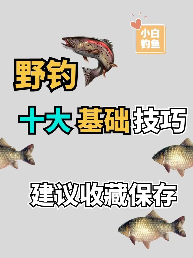 四海釣魚釣賽進行時_四海釣魚網站_四海釣魚網官網