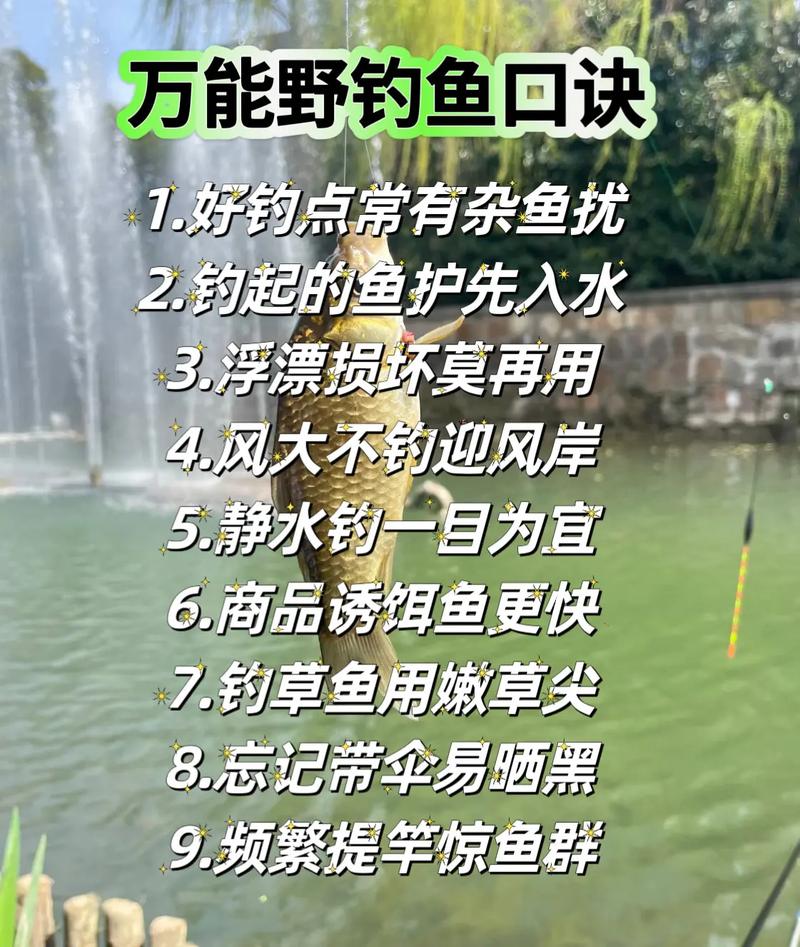 白洋淀野釣技巧：如何選擇合適的釣點與餌料提升捕魚成功率