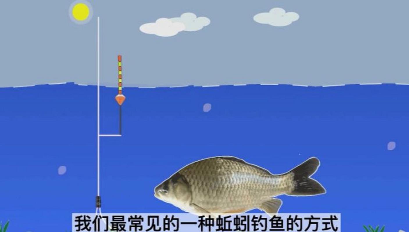 如何結合蚯蚓和七星漂提高釣魚效果：調整技巧與準備工作詳解
