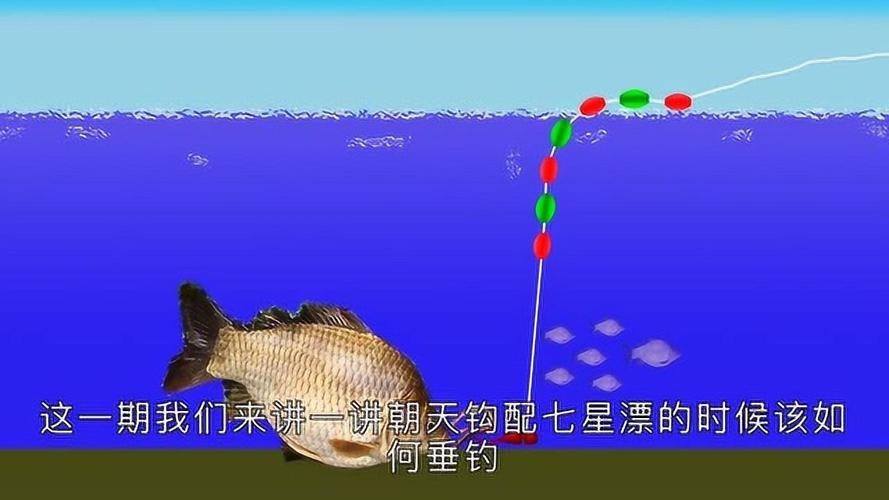 如何結合蚯蚓和七星漂提高釣魚效果：調整技巧與準備工作詳解