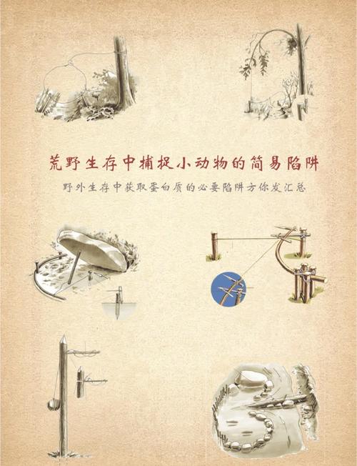 捕魚視頻大全_捕魚的視頻有哪些_視頻捕魚大全app