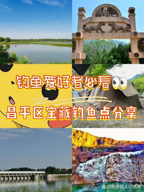 紫坪鋪水庫釣魚攻略：麻溪村、白沙河、白果林最佳垂釣地點推薦