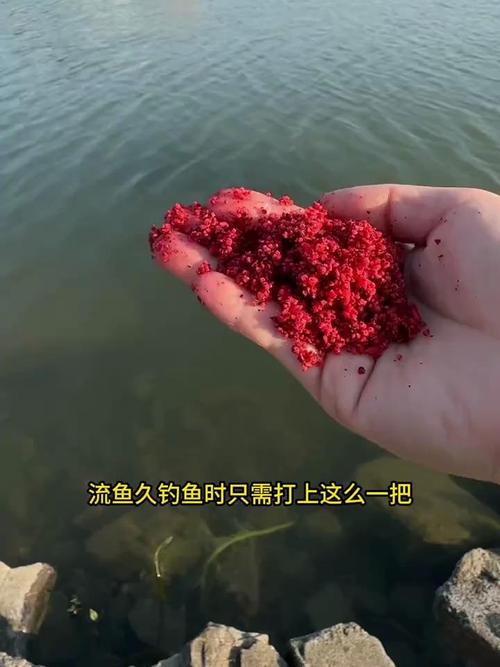 2020滄州市野釣地點_我是河北滄州的我想知道野釣鯽魚和打窩技巧_滄州哪里有賣鯽魚的