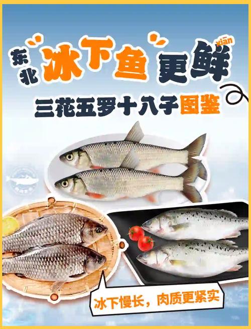三花五羅十八子_羅子花樣圖片大全_羅子花樣寫法