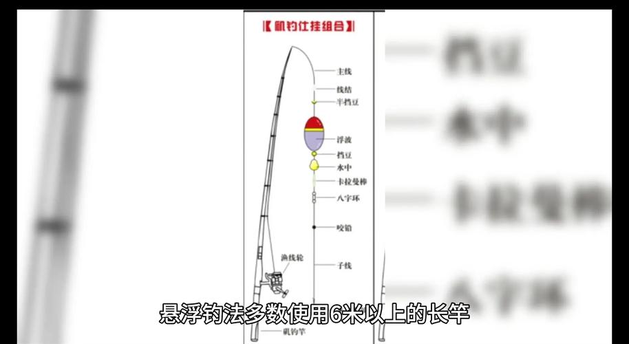湖泊水庫釣魚技巧：草魚青魚餌料搭配與釣具選擇全攻略