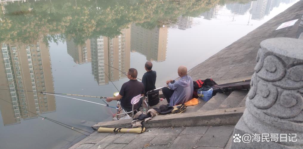 鄭州釣魚好去處：北龍湖濕地公園與尖崗水庫的垂釣體驗