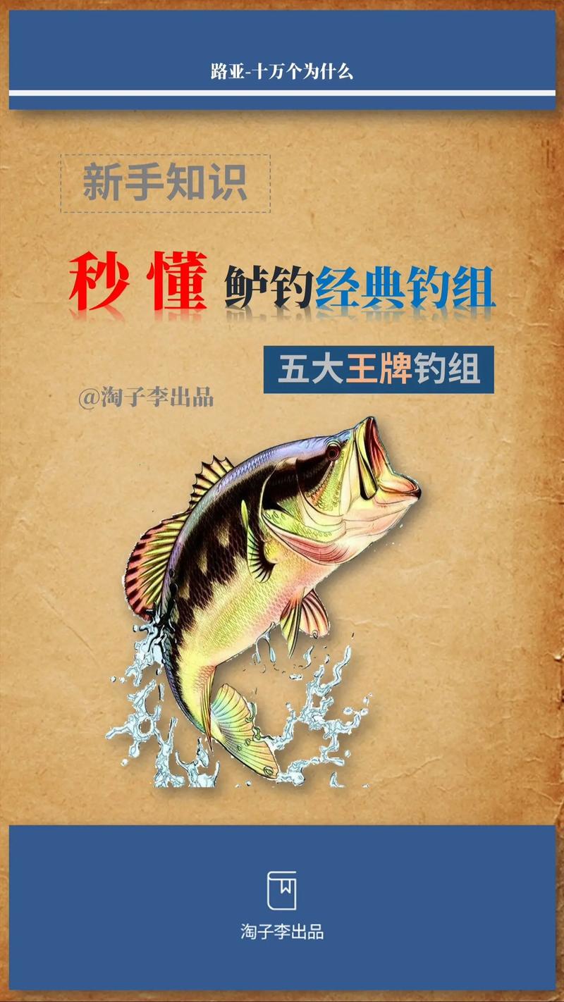 釣鱸魚攻略趕緊收藏必看_釣鱸魚的絕招_釣鱸魚應該怎么釣