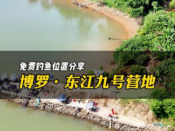 東平湖釣魚吧_東平湖釣魚去哪個位置_東平湖釣魚地點