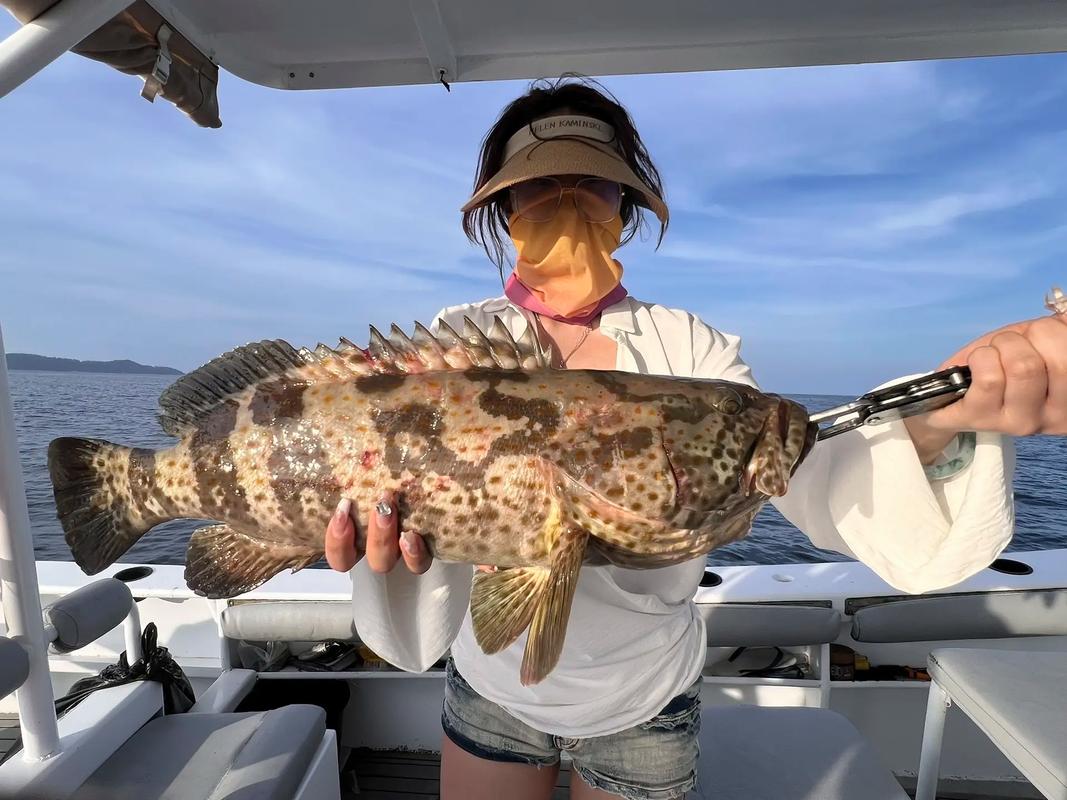 海釣魚視頻高清_釣魚視頻海釣_15年海釣魚視頻大全