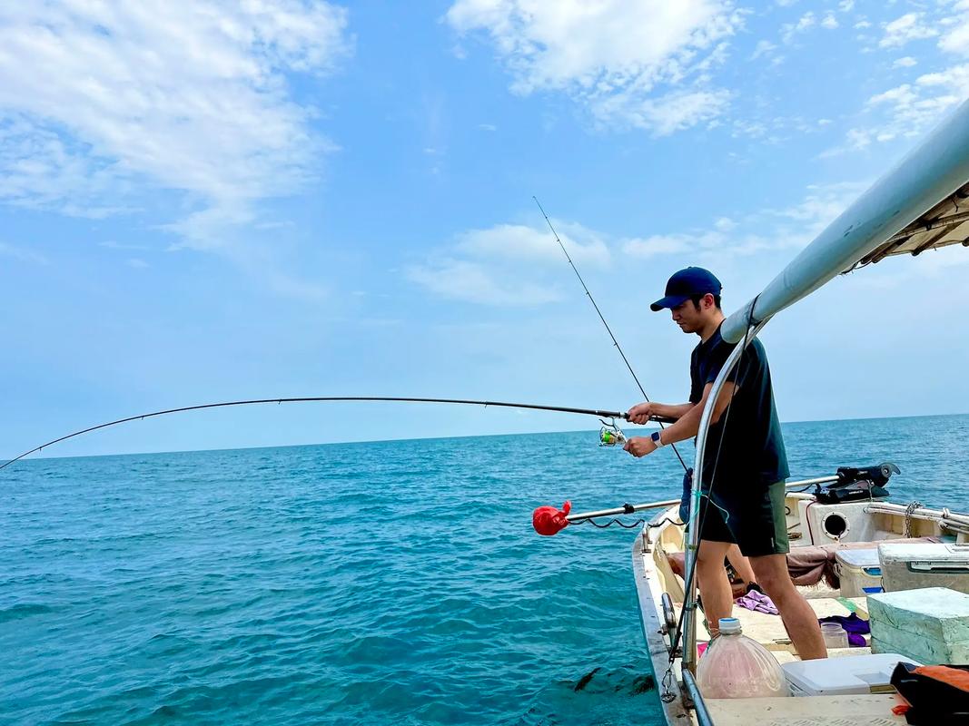海釣魚視頻高清_釣魚視頻海釣_15年海釣魚視頻大全