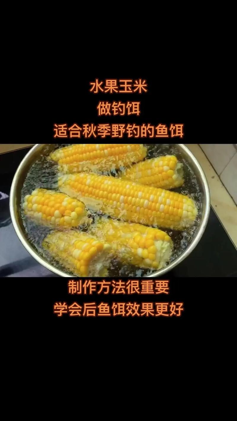 釣秋天餌草魚晚上用什么餌料_秋季晚上釣草魚_秋天晚上釣草魚用什么餌