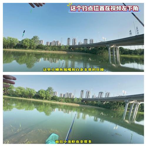 游釣中國第六季揭秘獨特釣點與釣魚技巧，釣魚愛好者必看