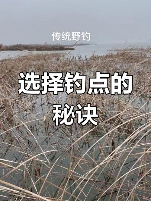 游釣中國第四季全集_游釣中國2021第六季_游釣中國第六季全集