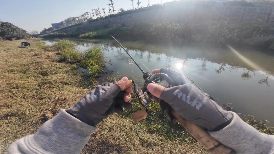 水庫釣青魚釣多深_西皋水庫這邊的魚太難釣了_水庫釣鯪魚怎樣找魚窩