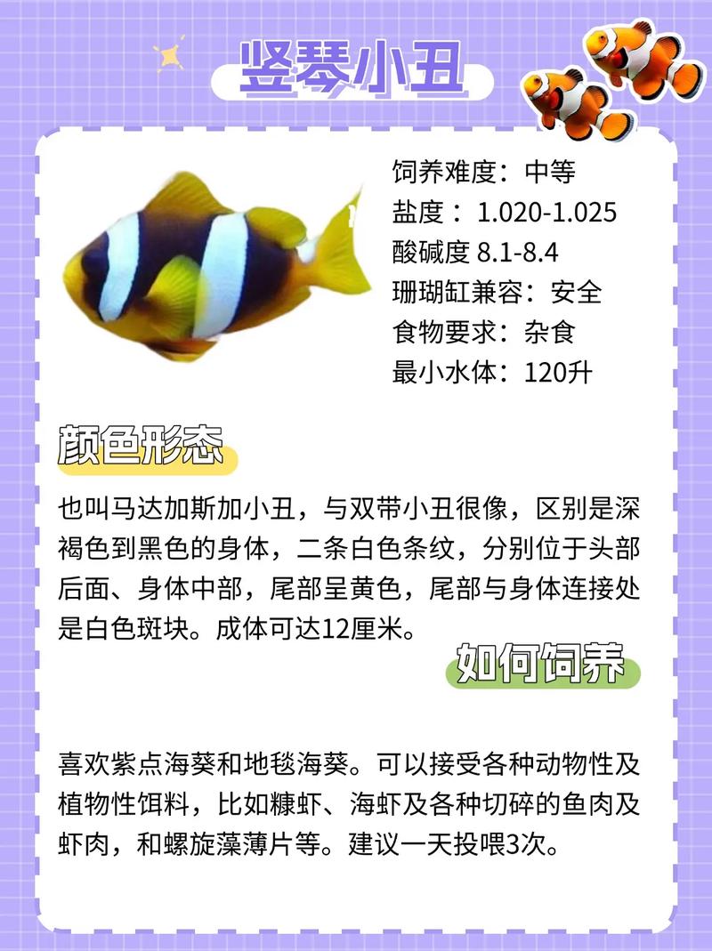 魚的種類圖片_片魚叫啥魚_片魚圖片