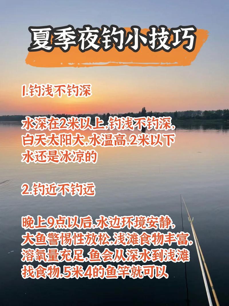 夜釣技巧分享學會不再擔心沒有魚必看_夜釣秘訣_釣夜魚怎么釣