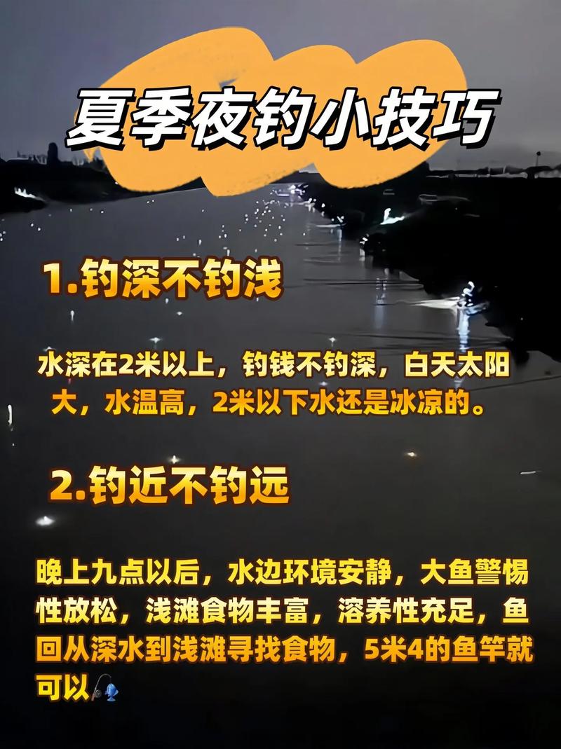 夜釣秘訣_釣夜魚怎么釣_夜釣技巧分享學會不再擔心沒有魚必看