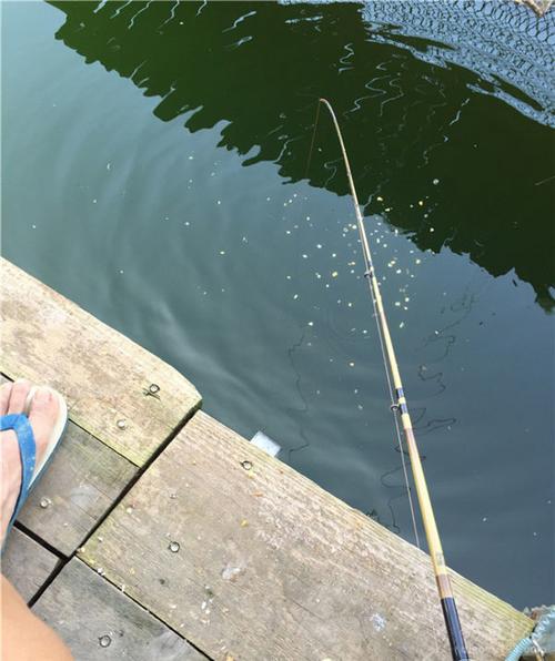 中秋玉米釣草魚_國慶釣魚_國慶萬峰湖玉米酒糟打窩爽釣草魚和羅非必看