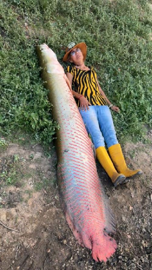 國外美女釣獲欣賞大家伙嚇人必看_外國野釣視頻_國外釣魚視頻野釣實戰