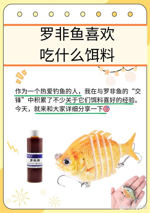 釣羅非魚餌料配方 周五下班心情低落，遇見張大爺分享釣魚經驗，重拾生活樂