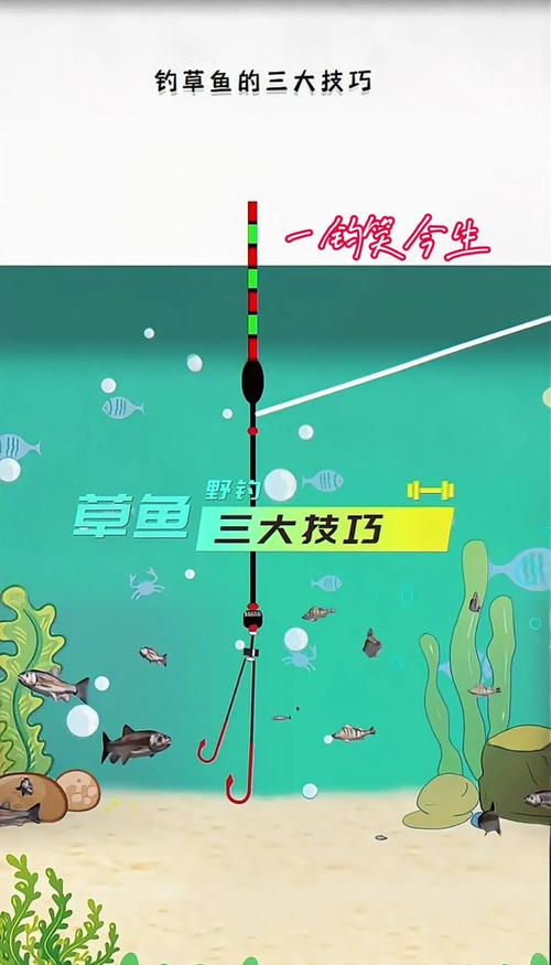 夜間釣魚技巧：如何選擇草魚餌料以提高釣獲率