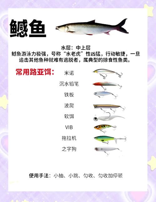 夜釣草魚用什么餌料_釣餌料夜草魚用什么鉤_夜釣草魚用什么