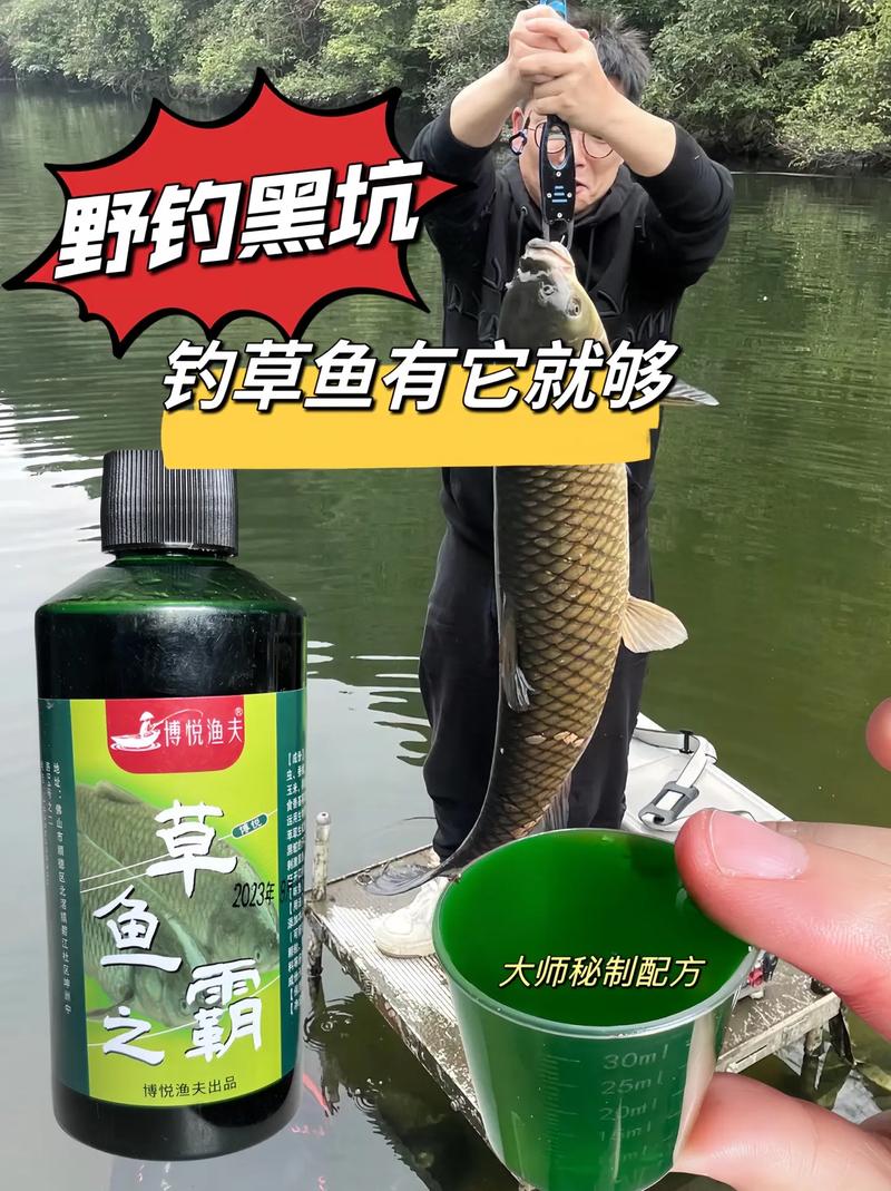 夏天釣草魚用什么餌料_釣夏天餌料草魚用什么鉤_釣夏天餌料草魚用幾號鉤