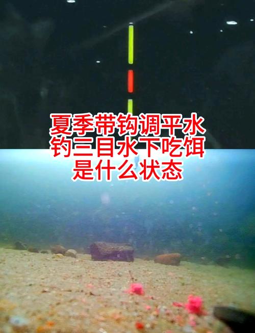 夏季釣魚技巧