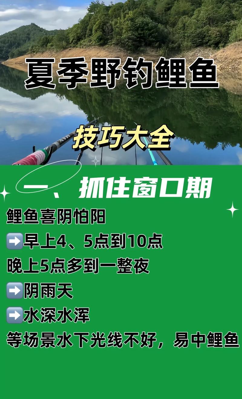 釣魚夏季技巧和方法_釣魚夏季技巧圖解_夏季釣魚技巧