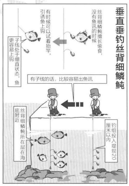 海釣馬面魚的技巧方法及注意事項
