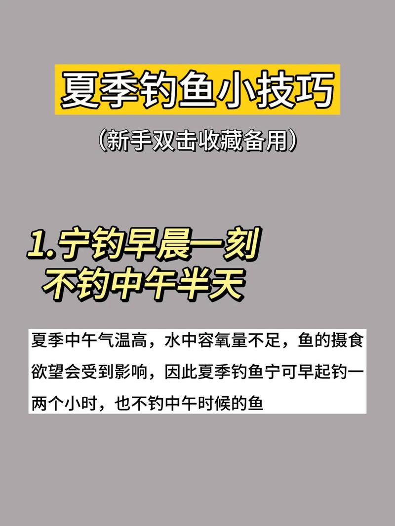 釣魚夏季技巧知道要打窩嗎_夏季釣魚你要知道的6個技巧_釣魚夏季技巧知道要釣什么魚