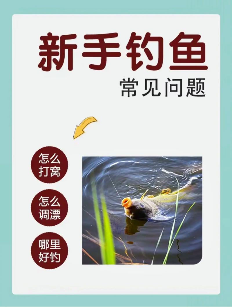 釣魚視頻高清看漂_釣魚視頻高清_釣魚視頻高清豎屏